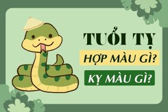 Tuổi Tỵ hợp màu gì 2023 để rước tài lộc, may mắn?
