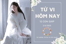 Tử vi hàng ngày hôm nay của 12 con giáp 2/6/2023: Dần tài lộc dồi dào, Hợi gặp may mắn trong công việc