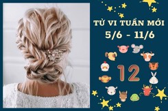 Tử vi tuần mới của 12 con giáp từ 5/6 đến 11/6: Mão tài lộc tăng tiến, Tuất tình cảm gặp ít trắc trở