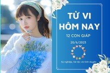 Tử vi hàng ngày hôm nay của 12 con giáp 20/6/2023: Dần tiền bạc rủng rỉnh, Thân tình cảm chững lại