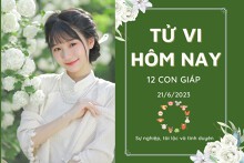 Tử vi hàng ngày hôm nay của 12 con giáp 21/6/2023: Mão tình cảm rạn nứt, Mùi tài lộc vượng phát