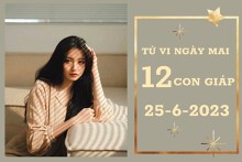 Tử vi ngày mai của 12 con giáp 25/6/2023: Tỵ tài lộc ổn định, Sửu công việc suôn sẻ