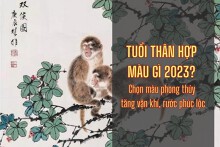 Tuổi Thân hợp màu gì 2023? Chọn màu phong thủy tăng vận khí, rước phúc lộc