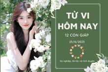 Tử vi hàng ngày hôm nay của 12 con giáp 25/6/2023: Dần tình cảm lận đận, Tỵ tài lộc tăng tiến