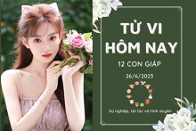 Tử vi hàng ngày hôm nay của 12 con giáp 26/6/2023: Dần tài lộc hao tổn, Mùi tài chính dư dả