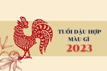 Tuổi Dậu hợp màu gì 2023 để sự nghiệp thuận phát, tài lộc đong đầy?