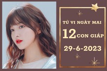 Tử vi ngày mai của 12 con giáp 29/6/2023: Dậu tài lộc tốt đẹp, Tý công việc ổn định