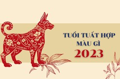 Tuổi Tuất hợp màu gì 2023? Chọn màu phòng thủy hút tài lộc, tăng vận khí