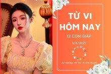 Tử vi hàng ngày hôm nay của 12 con giáp 3/6/2023: Tý tài lộc vượng phát, Tỵ sự nghiệp gặp nhiều trở ngại