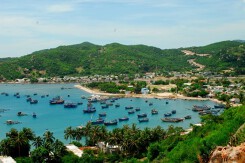 Ninh Thuận đấu giá 75 lô đất tại khu dân cư Tri Thủy, khởi điểm từ 7,9 triệu đồng/m2