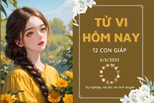 Tử vi hàng ngày hôm nay của 12 con giáp 6/6/2023: Thìn tài lộc tăng tiến, Tuất tình cảm bất ổn