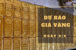 Dự báo giá vàng 9/6: Có thể tiếp tục tăng?