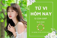 Tử vi hàng ngày hôm nay của 12 con giáp 10/6/2023: Sửu tiền bạc dư dả, Mùi công việc gặp bất lợi
