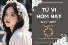 Tử vi hàng ngày hôm nay của 12 con giáp 9/6/2023: Dần tình cảm thăng trầm, Hợi tài lộc dồi dào