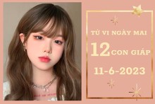Tử vi ngày mai của 12 con giáp 11/6/2023: Thìn tài lộc vô lo, Dậu tình cảm vượng sắc
