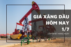 Giá xăng dầu hôm nay 1/7: Leo dốc nhưng giảm hàng quý thứ 4 liên tiếp