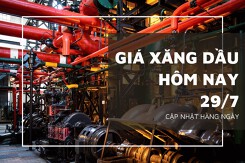 Giá xăng dầu hôm nay 29/7: Ghi nhận tuần tăng thứ 5 liên tiếp