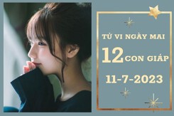 Tử vi ngày mai của 12 con giáp 11/7/2023: Hợi tài lộc tăng cao, Thìn công việc gặp trắc trở