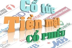 26 doanh nghiệp sắp chốt quyền chia cổ tức, cao nhất 40% bằng tiền