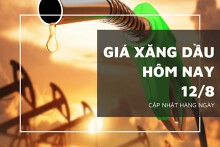 Giá xăng dầu hôm nay 12/8: Xác lập tuần tăng thứ 7 liên tiếp