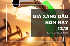 Giá xăng dầu hôm nay 12/8: Xác lập tuần tăng thứ 7 liên tiếp