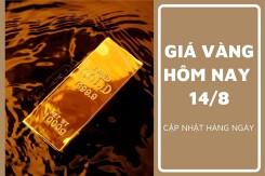 Giá vàng hôm nay 14/8: Tăng giảm trái chiều không quá 100.000 đồng/lượng sáng đầu tuần