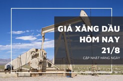 Giá xăng dầu hôm nay 21/8: Đồng loạt tăng nhẹ vào phiên đầu tuần