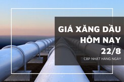 Giá xăng dầu hôm nay 22/8: Trong nước, thế giới đồng loạt tăng