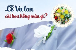 Lễ Vu lan cài hoa hồng màu gì? Ý nghĩa của các màu hoa cài áo