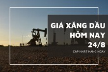 Giá xăng dầu hôm nay 24/8: Đồng loạt lao dốc