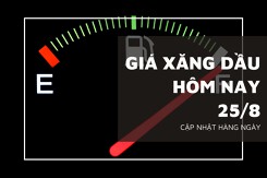 Giá xăng dầu hôm nay 25/8: Tiếp đà giảm nhẹ