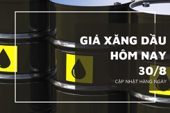 Giá xăng dầu hôm nay 30/8: Đồng loạt nhích nhẹ