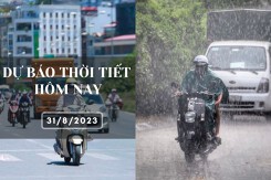 Dự báo thời tiết hôm nay 31/8/2023: Hà Nội ngày nắng trên 34 độ, Đà Nẵng và TP HCM có mưa vừa, mưa to