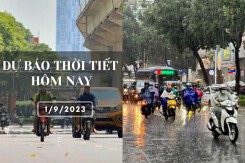 Dự báo thời tiết hôm nay 1/9/2023: Hà Nội ngày nắng nóng, Đà Nẵng và TP HCM tiếp tục có mưa vừa, mưa to