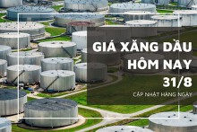 Giá xăng dầu hôm nay 31/8: Giảm nhẹ trên sàn Tokyo