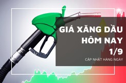 Giá xăng dầu hôm nay 1/9: Đồng loạt tăng nhẹ