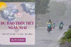 Dự báo thời tiết ngày mai 12/9/2023: Hà Nội mưa về sáng và đêm, Đà Nẵng nắng nóng, TP HCM mưa vài nơi