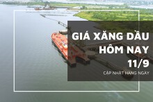 Giá xăng dầu hôm nay 11/9: Tokyo đi ngang, WTi và Brent đảo chiều giảm