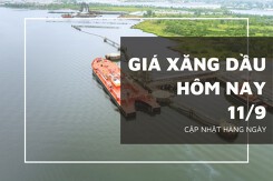 Giá xăng dầu hôm nay 11/9: Tokyo đi ngang, WTi và Brent đảo chiều giảm
