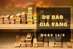 Dự báo giá vàng 14/9: Duy trì đà giảm ngày thứ hai liên tiếp?