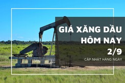 Giá xăng dầu hôm nay 2/9: Đạt mức cao nhất trong vòng 7 tháng