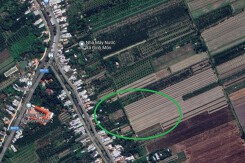 Đất có quy hoạch ở xã Định Môn, huyện Thới Lai, TP Cần Thơ