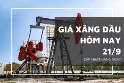 Giá xăng dầu hôm nay 21/9: Đồng loạt lao dốc