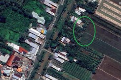 Đất có quy hoạch ở xã Trường Xuân A, huyện Thới Lai, TP Cần Thơ