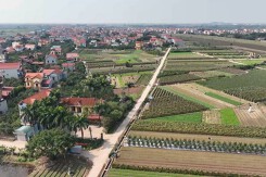 Hà Nội đấu giá 86 thửa đất ở tại huyện Mê Linh, khởi điểm từ 18,4 triệu đồng/m2