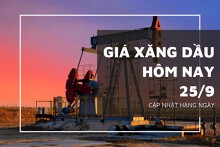 Giá xăng dầu hôm nay 25/9: Tokyo đi ngang, Brent và WTI nhích nhẹ