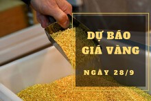 Dự báo giá vàng 28/9: Sẽ giảm theo thị trường thế giới?