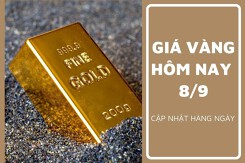 Giá vàng hôm nay 8/9: Tăng cao nhất 300.000 đồng/lượng