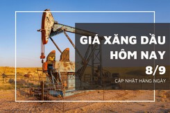 Giá xăng dầu hôm nay 8/9: Tokyo leo dốc, Brent và WTi đảo chiều giảm