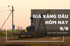 Giá xăng dầu hôm nay 9/9: Đồng loạt tăng trong phiên cuối tuần